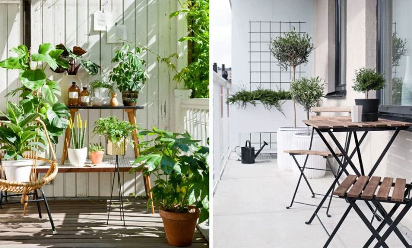 Växter och möbler för balkong